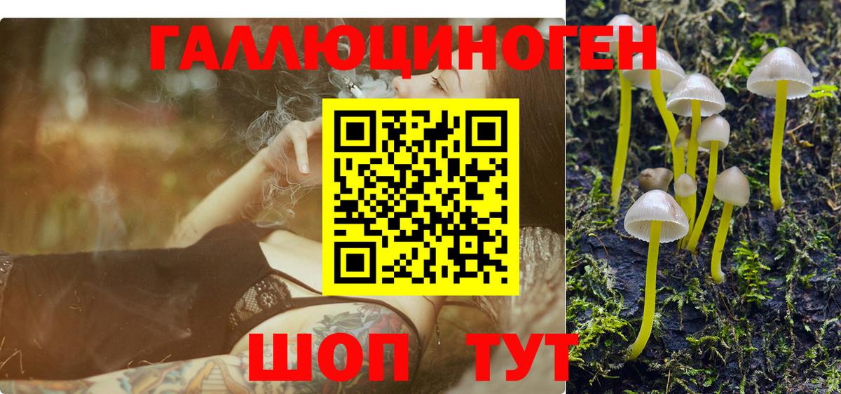 Галлюциногенные грибы MAGIC MUSHROOMS Корсаков